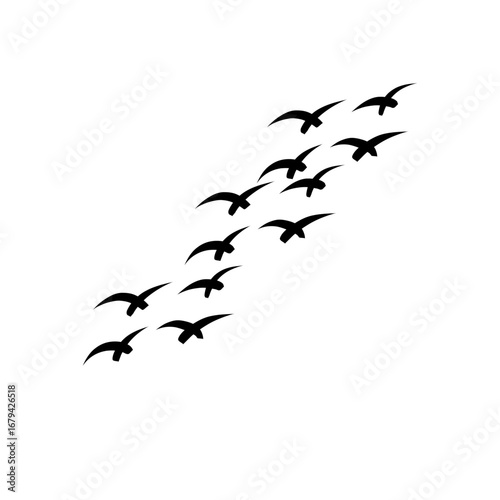Flock of birds flying vector silhouettes, geese in triangle design, monochrome postcard illustration, greeting card invitation white background.
