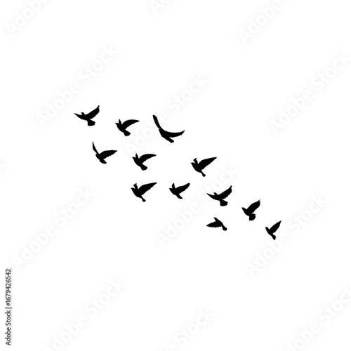 Vector flying flock of geese silhouettes, birds in triangle formation, postcard illustration, monochrome greeting card, autumn white background.