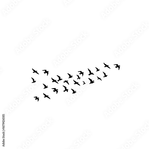 "Birds in sky flock silhouettes vector, geese triangle formation, greeting card postcard illustration, monochrome isolated design white background."