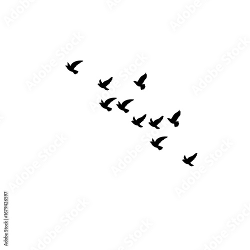"Flying flock of geese silhouettes vector, birds in autumn triangle, postcard greeting illustration, monochrome invitation card, white background."