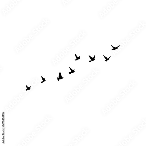 "Flock of geese flying vector silhouettes, birds triangle in sky, postcard illustration greeting card monochrome isolated white background."