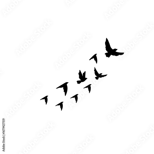 "Flying flock of birds vector illustration, geese silhouettes arranged in autumn triangle, postcard greeting design on white background."