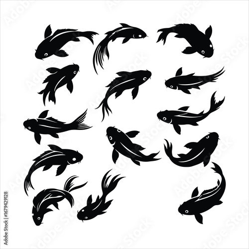 Black silhouette koi fish swimming in various directions on white background carp