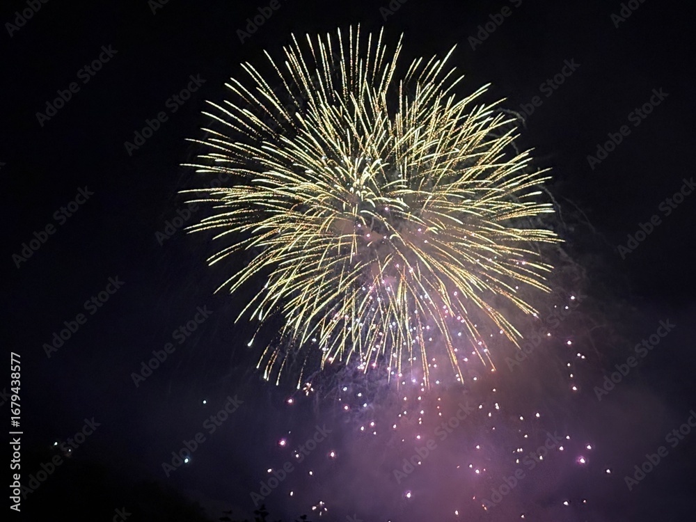 Naklejka premium Fireworks at the national holiday in Vaduz in Liechtenstein 15.8.2025