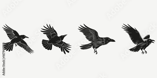 raven crow sketch illustration vector