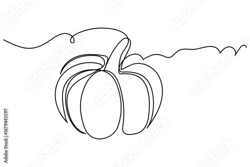 Continuous one line drawing of pumpkin vegetable outline minimalist style vector illustration isolated on white background
