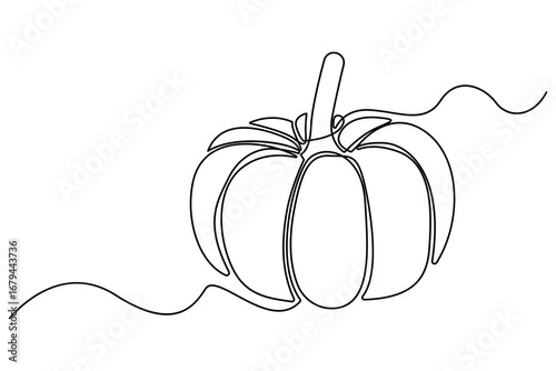 Continuous one line drawing of pumpkin vegetable outline minimalist style vector illustration isolated on white background
