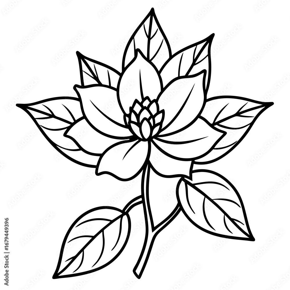 Obraz premium Elegant Hand-Drawn Botanical Plant Line Art Vintage Vector Design Isolated on White