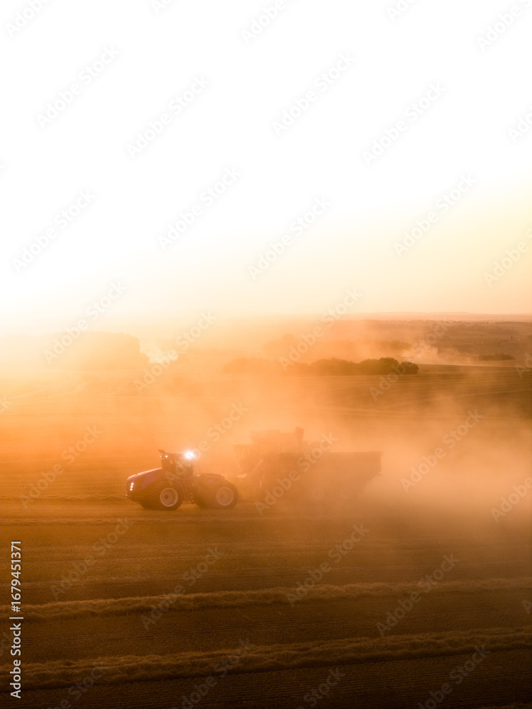 Fototapeta premium combining at golden hour