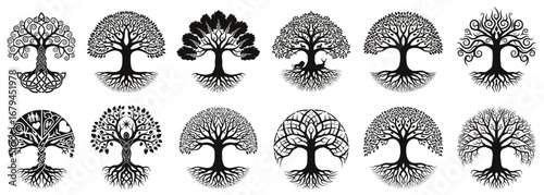 Tree of life silhouette collection in black. Decorative tree designs with roots, leaves, branches, and symbolic ornaments