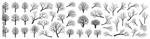 Bare tree silhouette collection in black. Set of leafless trees, winter forest branches, natural outlines, and seasonal woodland forms