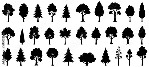 Tree silhouette collection.Set of deciduous and coniferous trees with different crown shapes and natural outlines in black vector style