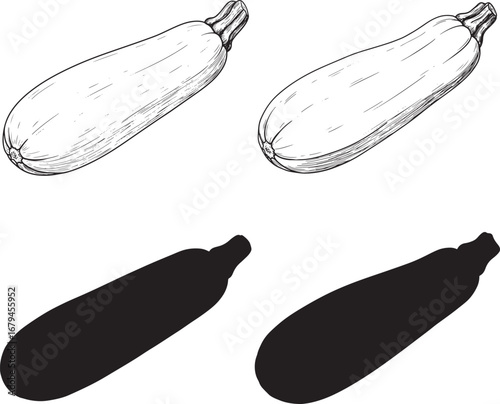 Two hand drawn zucchini and two black silhouette zucchini
