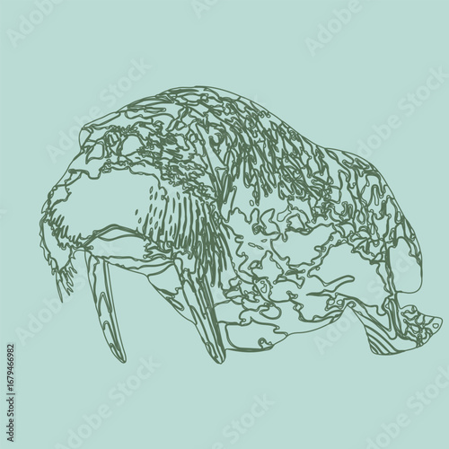 walrus animal  silhouette icon - designs for jungle animals color background