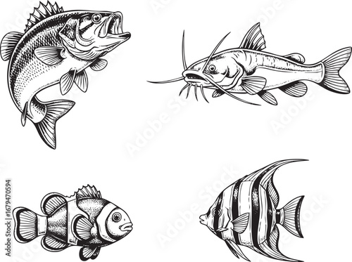 Vintage Hand-Drawn Fish Set in Black and White Vector (Bass, Catfish, Clownfish, Angelfish)