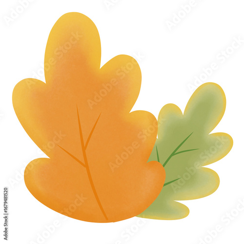 heart shaped leaf
