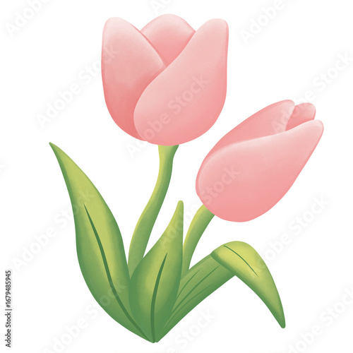 bouquet of tulips