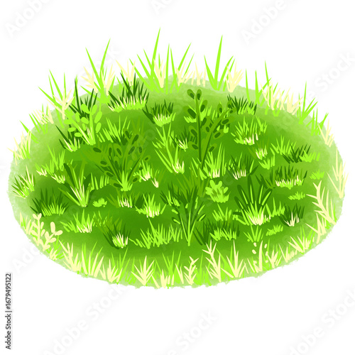 fresh green grass
