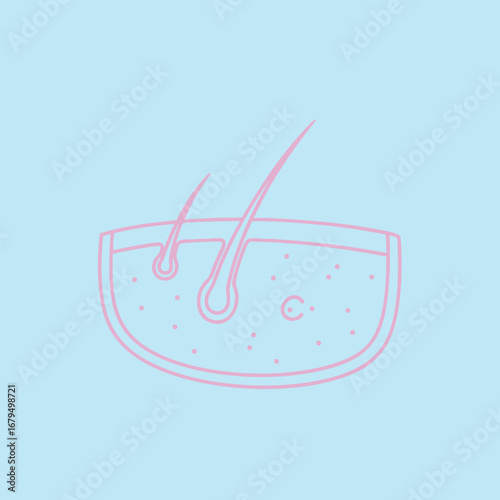 Illustration of a close-up view of skin with hair follicles on a light blue background, depicting biological structures