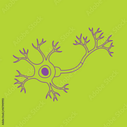 Illustration of a neuron with intricate dendrites and axon, set against a vibrant green background, ideal for educational use