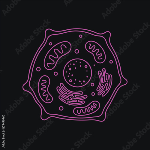Intricate illustration of a cell showcasing organelles such as mitochondria and ribosomes against a dark background