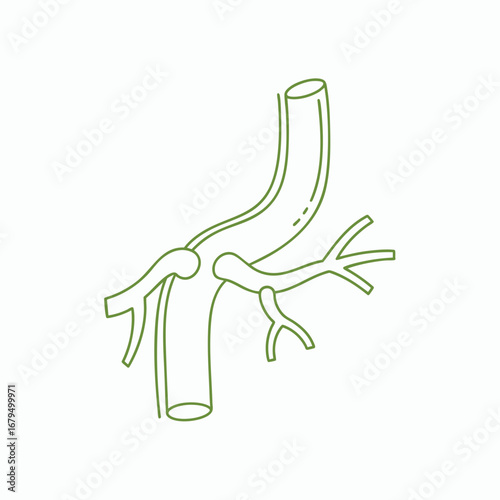 Simple line drawing of a bronchial tree illustrating the branching structure of airways in the human respiratory system