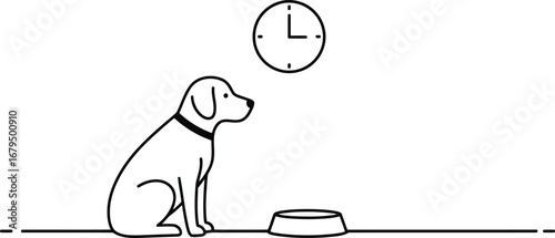 Dog waiting for food time