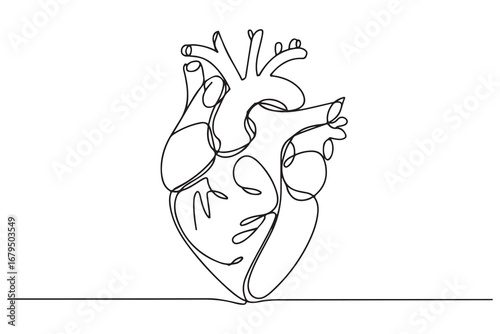 Continuous one line drawing of human heart with blood vessels anatomical heart outline vector illustration

