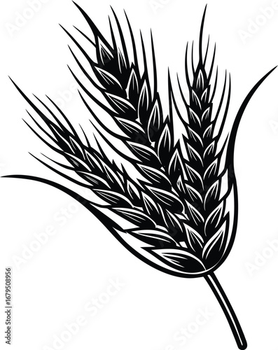 Vector illustration of a golden wheat grain ear, a natural and essential crop for bread and food
