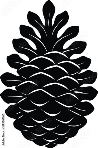 A single brown pine cone, isolated on a white background, evokes the feel of autumn and the Christmas season