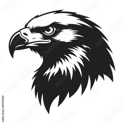 Black Silhouette of an Eagle's Head with Fierce Expression bird raptor