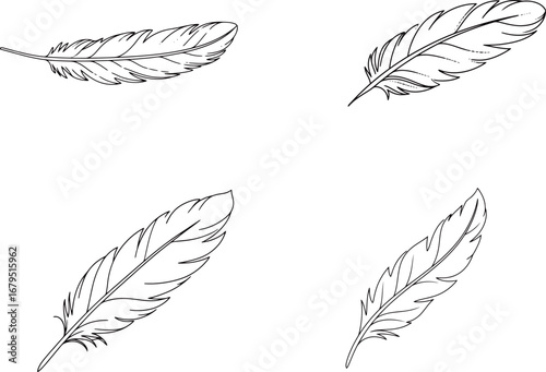 Hand-drawn vector set of feathers. Four unique and detailed black and white illustrations of different types of feathers, perfect for bohemian, nature, or decorative designs.