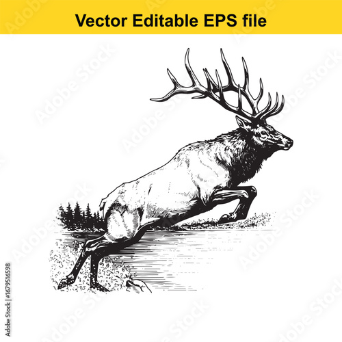 An elk majestic elk leaping over water, isolated on white background