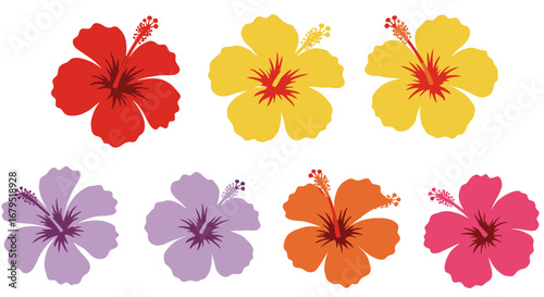 Collection of vibrant tropical hibiscus flowers in various colors isolated on white background