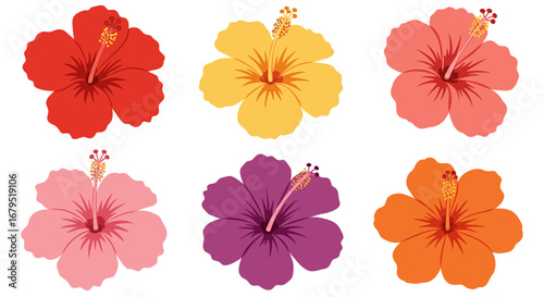 Six vibrant hibiscus flowers in a variety of bright colors arranged in two rows against a white background