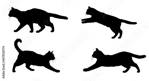 Four distinct black cat silhouettes showcasing different dynamic poses and movements on a white background