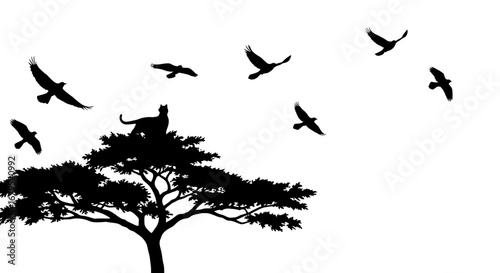 Silhouette of a cat perched atop a tree watching birds fly freely in the sky