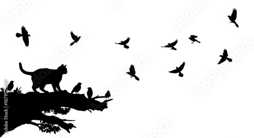 Silhouette of a watchful cat standing on a cliff edge surrounded by a flock of birds in flight