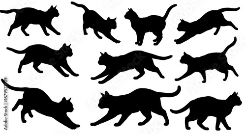 Collection of black cat silhouettes in various dynamic poses showing agility and grace