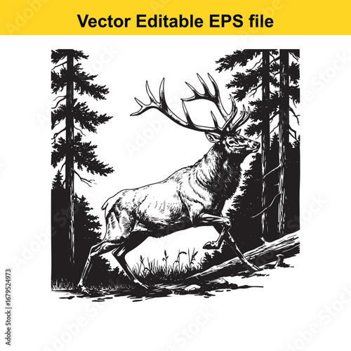 An elk majestic stag with large antlers walking through a forest with pine trees