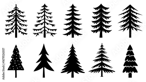 Collection of stylized evergreen trees creating a festive and natural winter holiday atmosphere