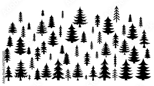 Enchanting forest canopy of diverse pine trees creates a serene, natural ambiance for your designs.