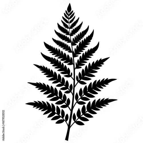 Simple Fern Leaf Shadow Silhouette Vector Design Isolated on White