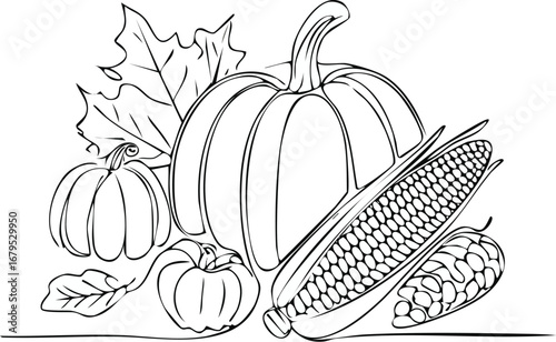 Autumn harvest pumpkins corn leaves vector