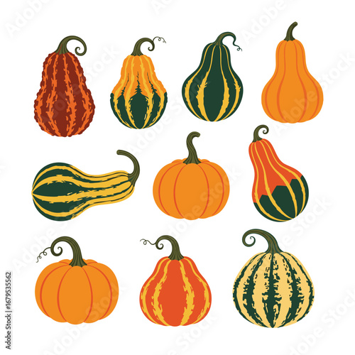 Decorative gourds and pumpkins in autumn harvest collection