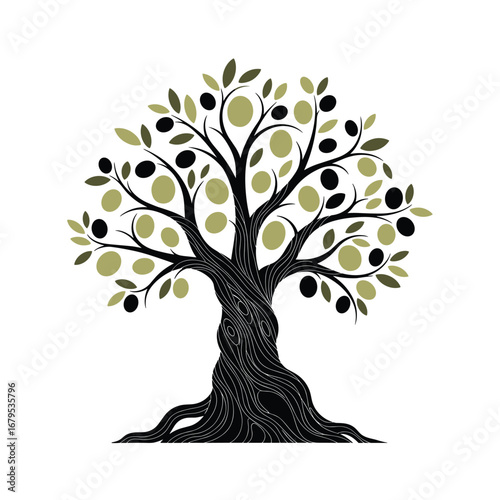 Healthy olive tree with ripe fruit