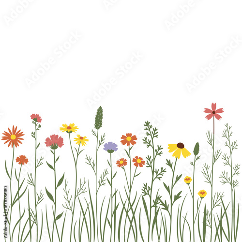 A colorful meadow of wildflowers in full bloom