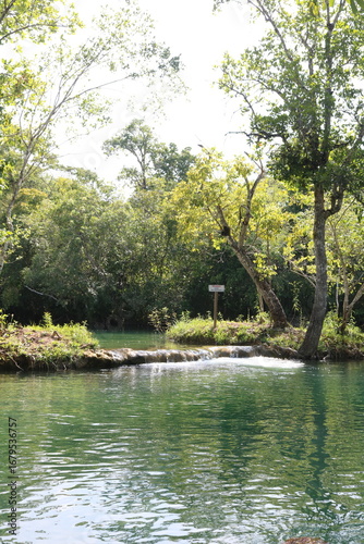 
Lake with greenish color showing the tranquility amidst the trees in the nature of Matugrosso do Sul in Bonito