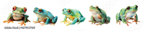 set of watercolor frogs. river and lake green frogs in realistic watercolor style. Aquatic freshwater inhabitants. Green swamp frogs. Vector illustration.