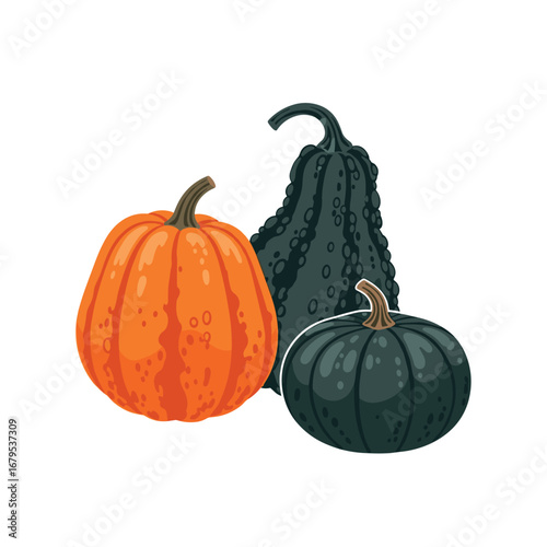 Three gourds in autumn colors ready for harvest celebration